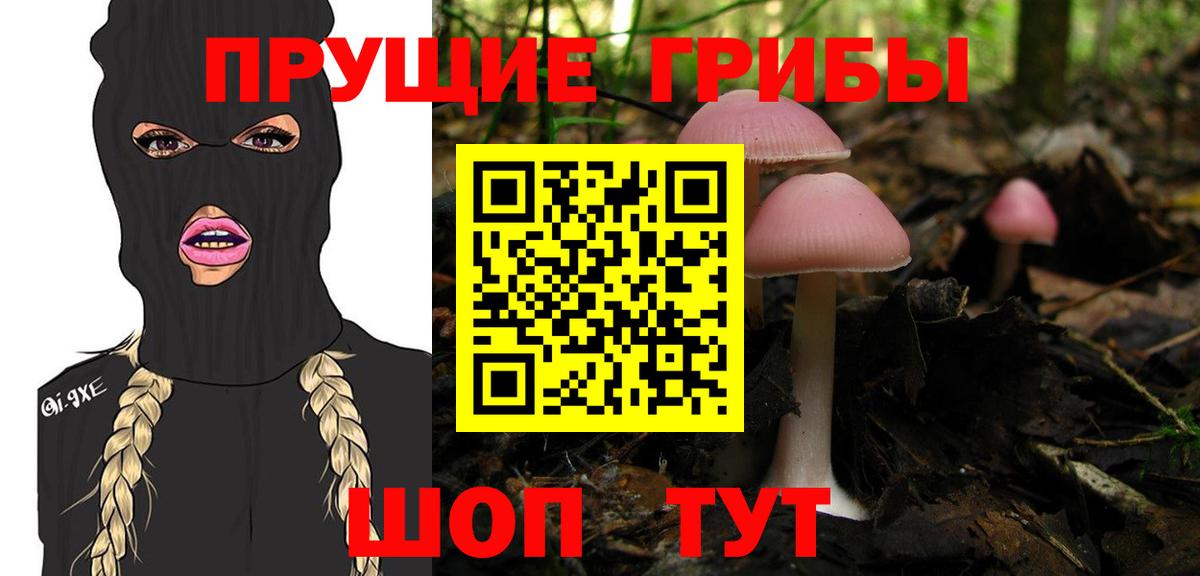 Галлюциногенные грибы Magic Shrooms  Вход с VPN  Вязьма 